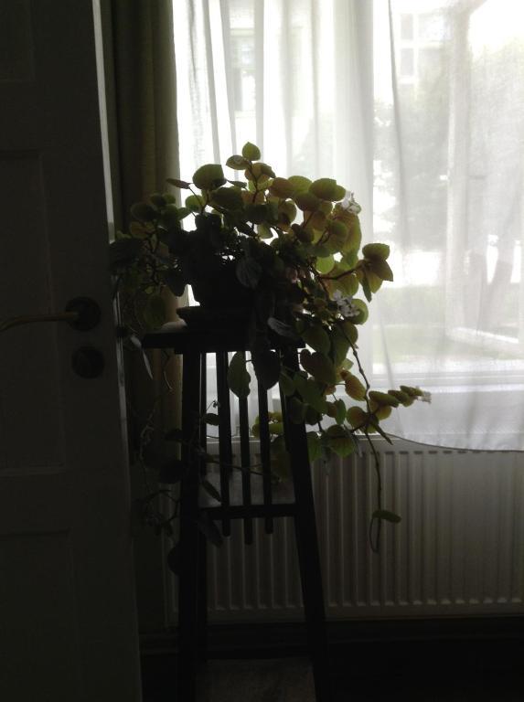 Kastani Home Accommodation Tartu Dış mekan fotoğraf